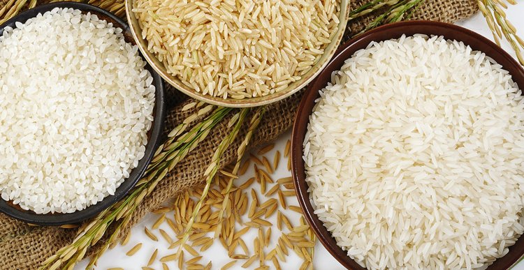 Trends 2025: Pressured by Large Harvest And End to India Export Ban Rice Prices Likely to Come Down