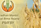 IRDAI flags pricing risks in PMFBY, proposes one-third premium for EoM calculation