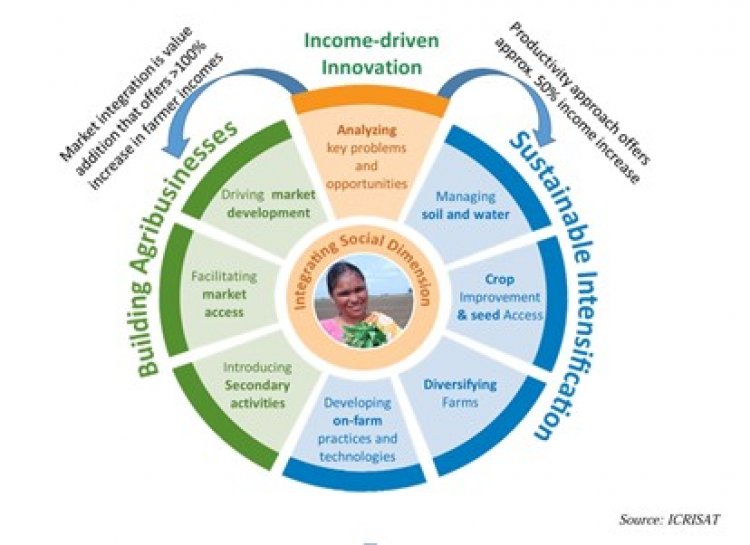 India Needs New Institutions to Boost Agriculture