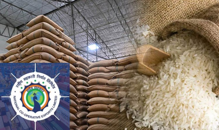 Cabinet approves export of 10 lakh tonnes of rice to Indonesia, NCEL to procure rice from open market