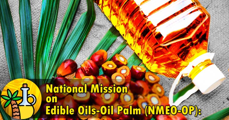 Centre asks states to boost efforts under National Mission on Edible Oils - Oil Palm