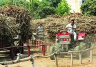 Maharashtra Sugarcane Farmers Demand Rs 7,000/Tonne as Sugar Prices Surge Over 40%
