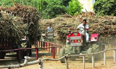 Maharashtra Sugarcane Farmers Demand Rs 7,000/Tonne as Sugar Prices Surge Over 40%