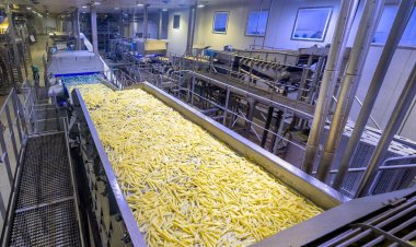 Cabinet approves total outlay of Rs.6520 crore for Pradhan Mantri Kisan Sampada Yojana