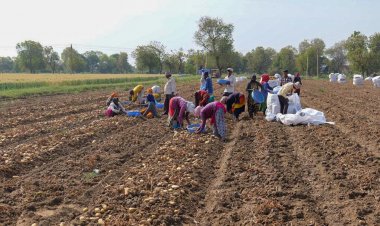 HyFarm drives soil stewardship across Gujarat’s potato belt