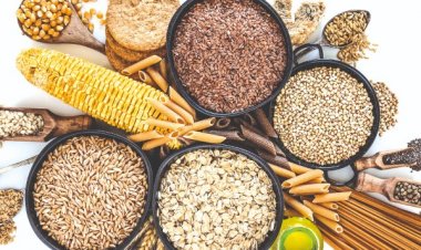 Global Cereal Production Up, But Trade Forecast for 2024-25 Down to Lowest Level Since 2019-20