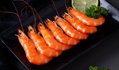 India's Seafood Export Sector Gets Major Boost: EU lists 102 New Fishery Establishments