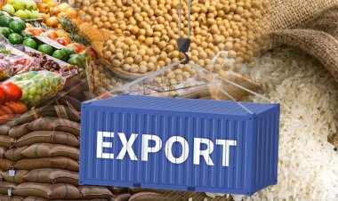 India's Agricultural Exports Rise by 12.69% Amid Global Uncertainty; Rice Exports Up by 19.73%