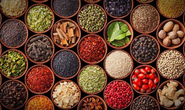World Intellectual Property Day: Why Geographical Indications Matter in Today’s IP Ecosystem