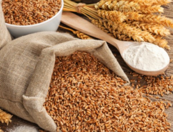 Global Grain Production in 2026-27 Projected to Slip By 2% Due to Soaring Fertilizer Costs