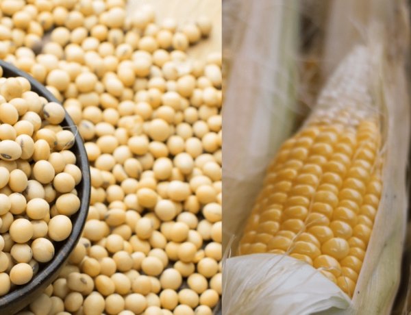 India’s Farmers Are Subsidising America’s China Strategy   