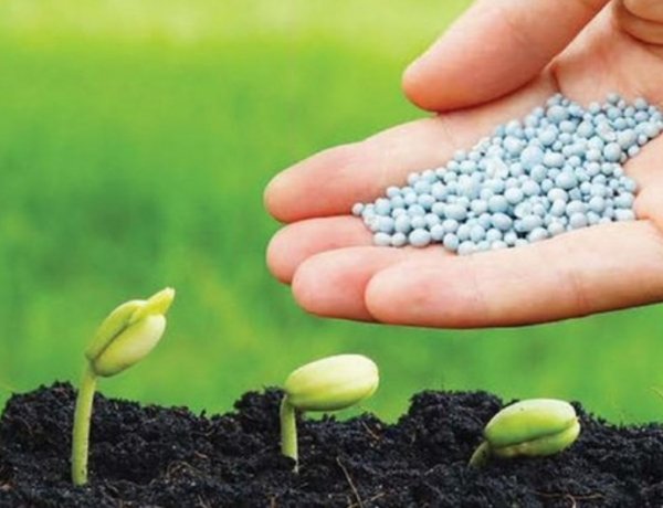 UP Government Bans Sale of Non-Subsidised Fertilizers, Industry In Shock