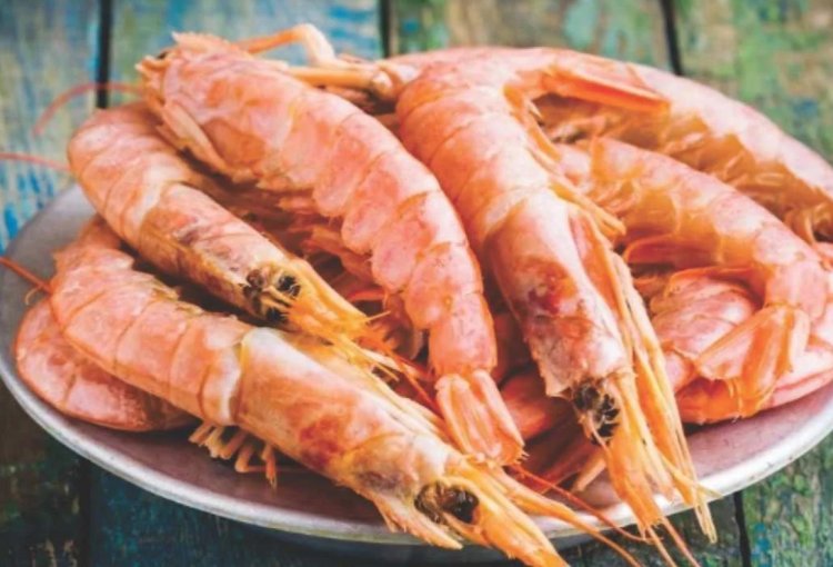 US Tariff Relief Offers Lifeline to Indian Shrimp Exports Amid Market Turmoil
