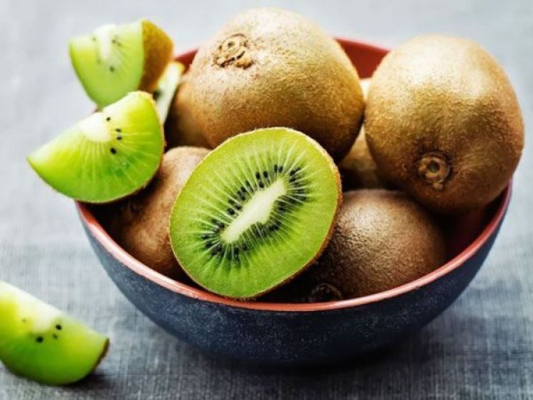 Focus on Kiwi, Improve Transport and Logistics: CAIRA’s Export Strategy for Arunachal