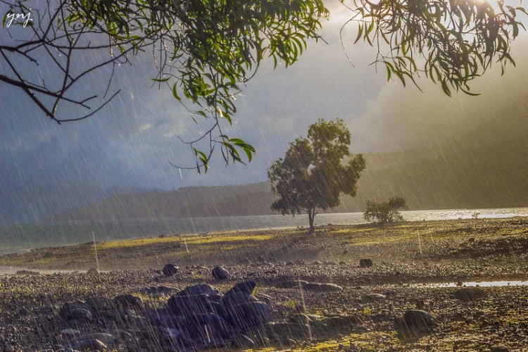 India Set to Receive Above-Normal Monsoon Rains in 2025, Boosting Hopes for Agriculture and Economy