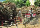 Centre Withdraws Draft Sugarcane (Control) Order, 2026 Amid Opposition From Farmers and Khansari Industry