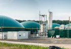 IFGE welcomes the budget announcements for Biogas-Blended CNG, CCUS and EVs