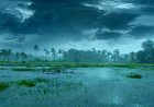 IMD Forecast: Widespread Rain Ahead, But Seasonal Rainfall Deficit Stands at 13 Percent