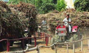 Centre Withdraws Draft Sugarcane (Control) Order, 2026 Amid Opposition From Farmers and Khansari Industry