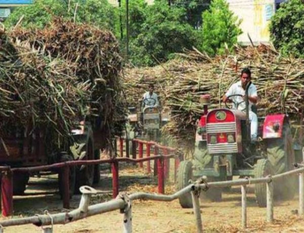 Centre Withdraws Draft Sugarcane (Control) Order, 2026 Amid Opposition From Farmers and Khansari Industry
