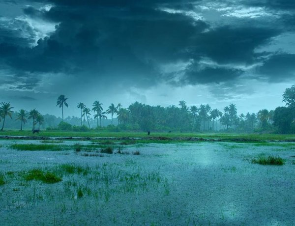 IMD Forecast: Widespread Rain Ahead, But Seasonal Rainfall Deficit Stands at 13 Percent
