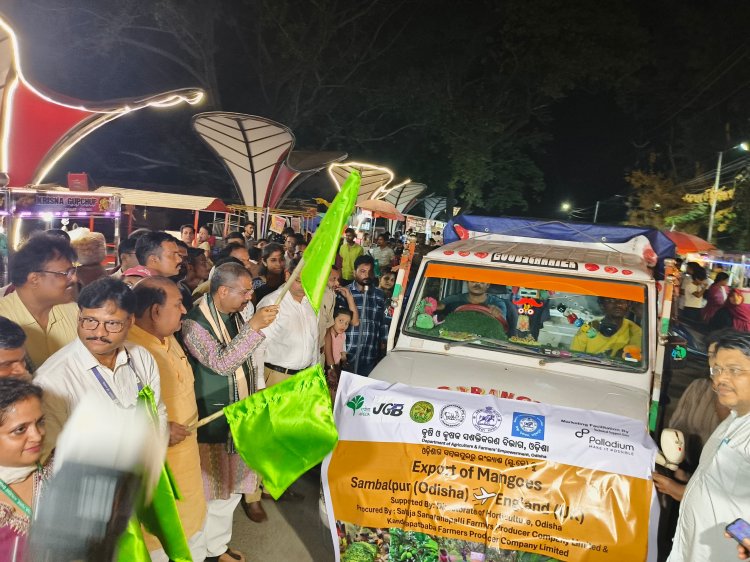 Odisha Makes History with Triple Mango Export to England and Dubai in a Single Day