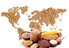 Global Food Prices Stable as Cereal Output Set to Ease from 2025 Record Amid El Niño Risks: FAO