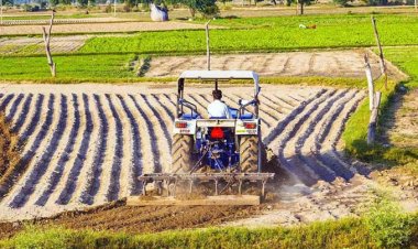 Talks on US Tariffs Begin Again, Will Tariffs Upend Indian Agriculture?