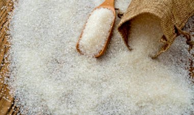 Sugar Sector Shows Stability but Ethanol Woes Loom: NFCSF Projects Mixed Outlook