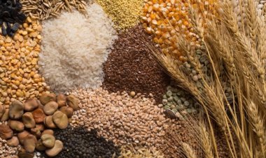USDA Cuts Global Grain Production Forecast; India's Wheat Output Retained at 121 MT, Rice at 150 MT