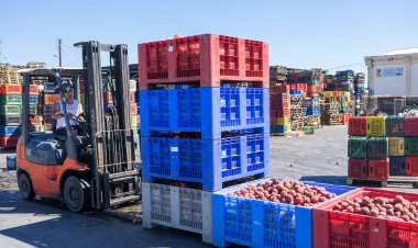 Fast-Tracking India’s Agri Exports