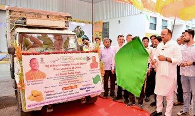 UP’s Dussehri Mangoes Reaches Dubai: First Direct Export from Lucknow