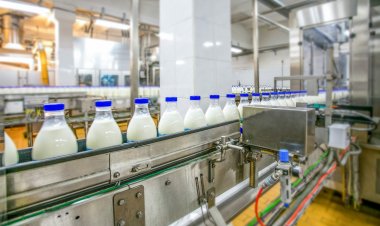 Asia Fuelling Global Milk Production Growth: FAO