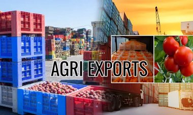 West Asia Conflict Puts India’s Farm Trade at Risk