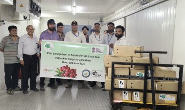 India Exports First Consignment of Rose-Scented Litchi from Pathankot to Qatar