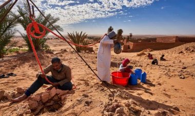 Global Drought Hotspots Report Reveals Alarming Scale of Human and Ecological Crises in 2023–25