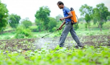 Surge in Agrochemical Imports Alarms Indian Industry, CCFI Demands Higher Import Duty