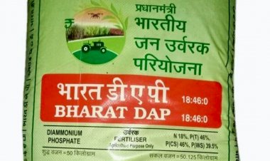 DAP Import Price Reaches $810 per Tonne, Opening Stock 9 lakh Tonnes Less than Last Year