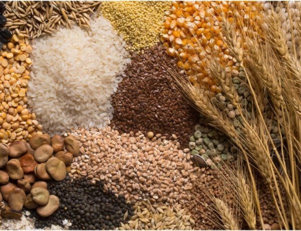 Global Wheat, Rice and Coarse Grain Output Under Pressure; India’s Wheat and Rice Production Remains Strong