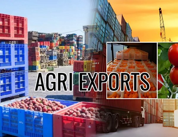 West Asia Conflict Puts India’s Farm Trade at Risk