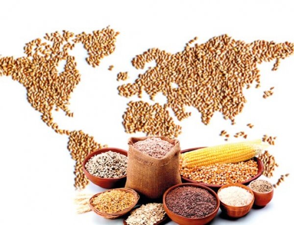 Global Food Prices Stable as Cereal Output Set to Ease from 2025 Record Amid El Niño Risks: FAO
