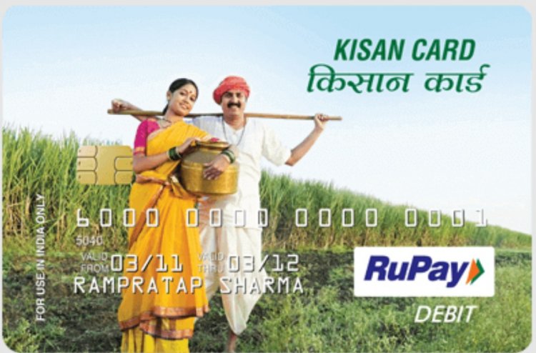 KCC Interest Subsidy Scheme Delivers Rs 2.30 Return for Every Rupee Invested, Finds Govt Assessment