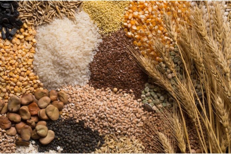 USDA Cuts Global Grain Production Forecast; India's Wheat Output Retained at 121 MT, Rice at 150 MT