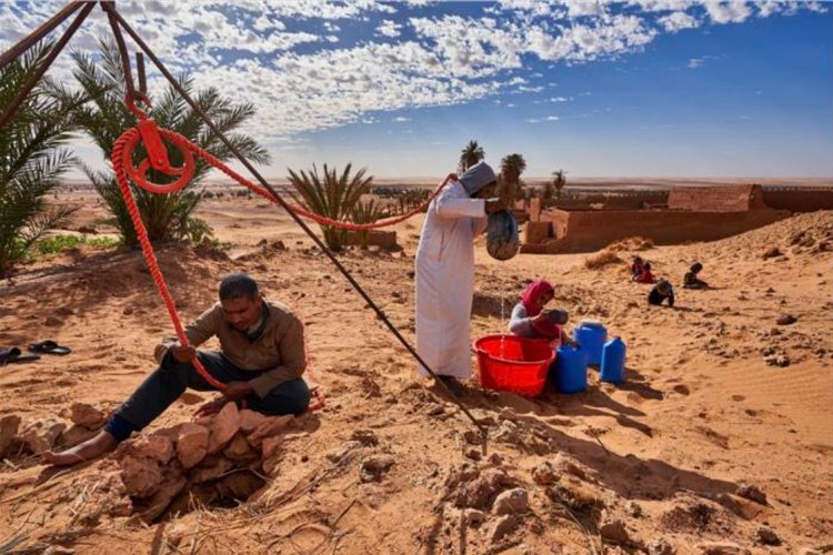 Global Drought Hotspots Report Reveals Alarming Scale of Human and Ecological Crises in 2023–25