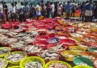 EU Clears India for Aquaculture Products Exports from September 2026