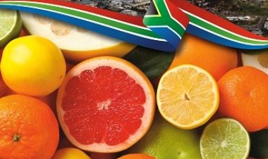 South Africa Launches Major Campaign to Boost Citrus Exports to India