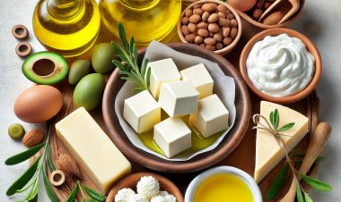 Global Food Price Index Rises Slightly in June Amid Surge in Dairy, Meat, and Vegetable Oil Prices