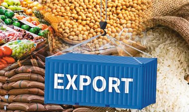 India’s Farm Exports Buck October Slump — But Gains Mask Deeper Fragilities in Trade Outlook