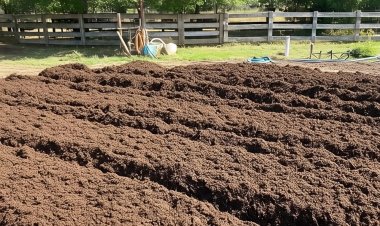 Centre Authorises 17 Manufacturers to Sell Organic Manure in Bulk to Farmers