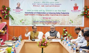 ‘Team Cotton’ to Be Formed to Boost Cotton Production, Target Set to End Imports by 2030